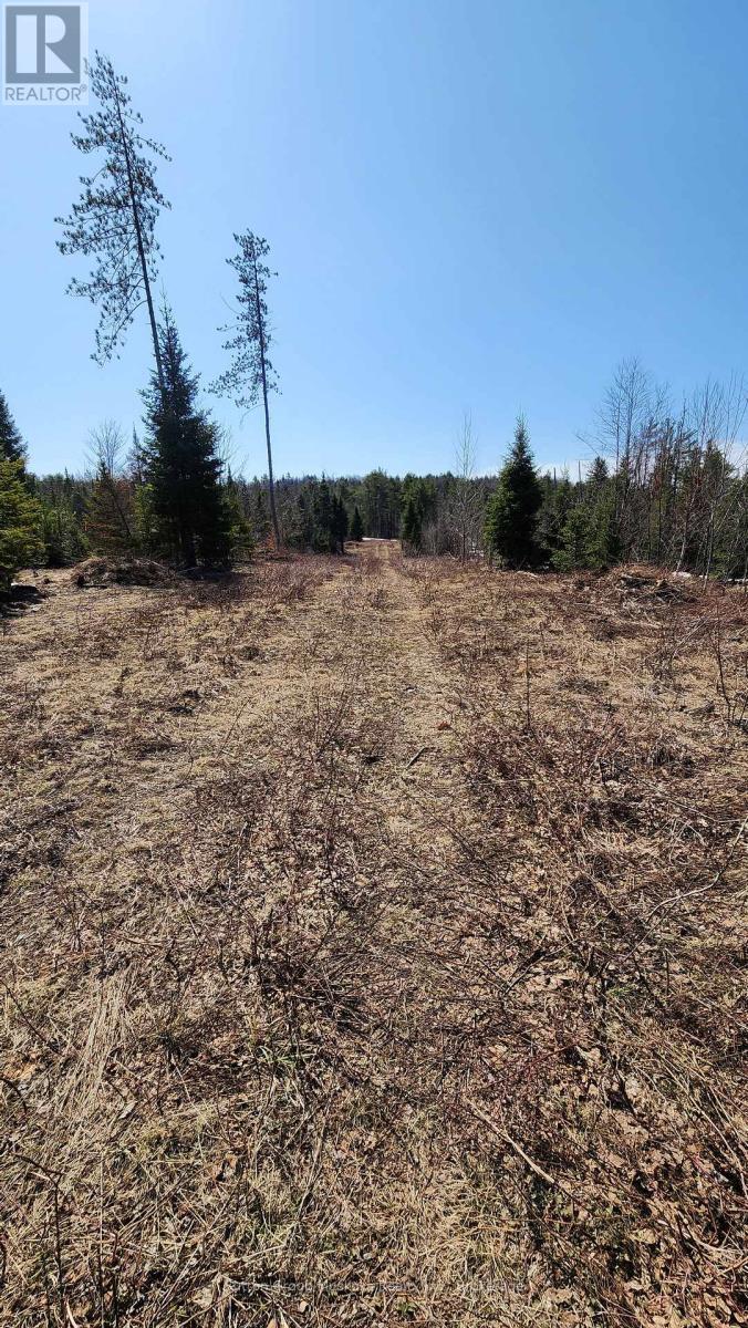 00 RED PINE TRAIL