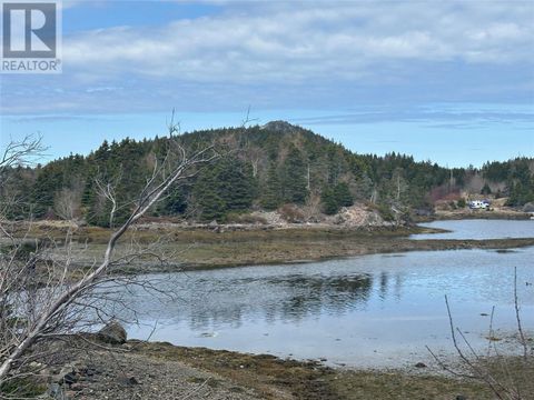 12-16 Back Cove Road Avondale NF A0A1B0