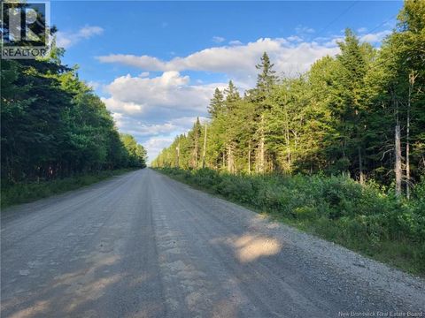 Lot G Zionville Road Taymouth NB E6C1Y5