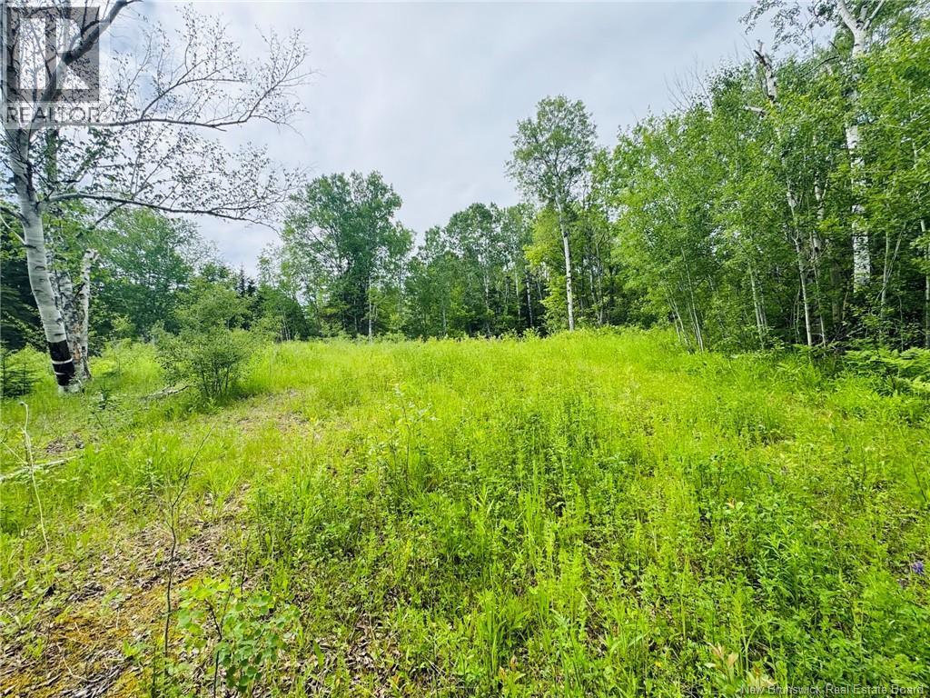 Photo 1 of 6 — 307 Doyleville Road, Lorne, NB E8G1H3