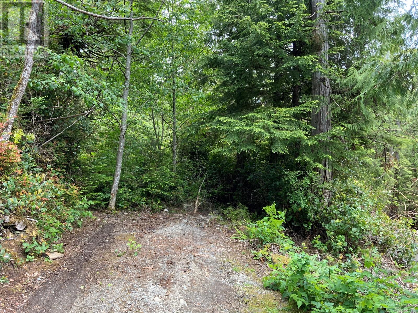 LOT 10 Rainforest Lane