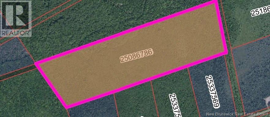 Vacant Lot RTE 465 BEERSVILLE - Photo 2