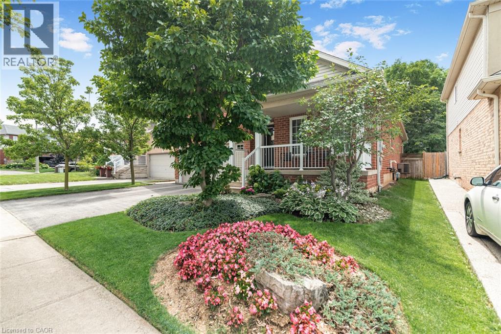 80 VINIFERA Drive