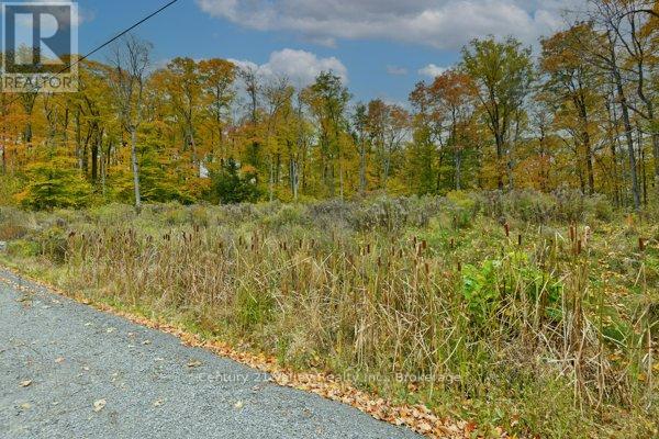 83 SHADY MAPLE ROAD