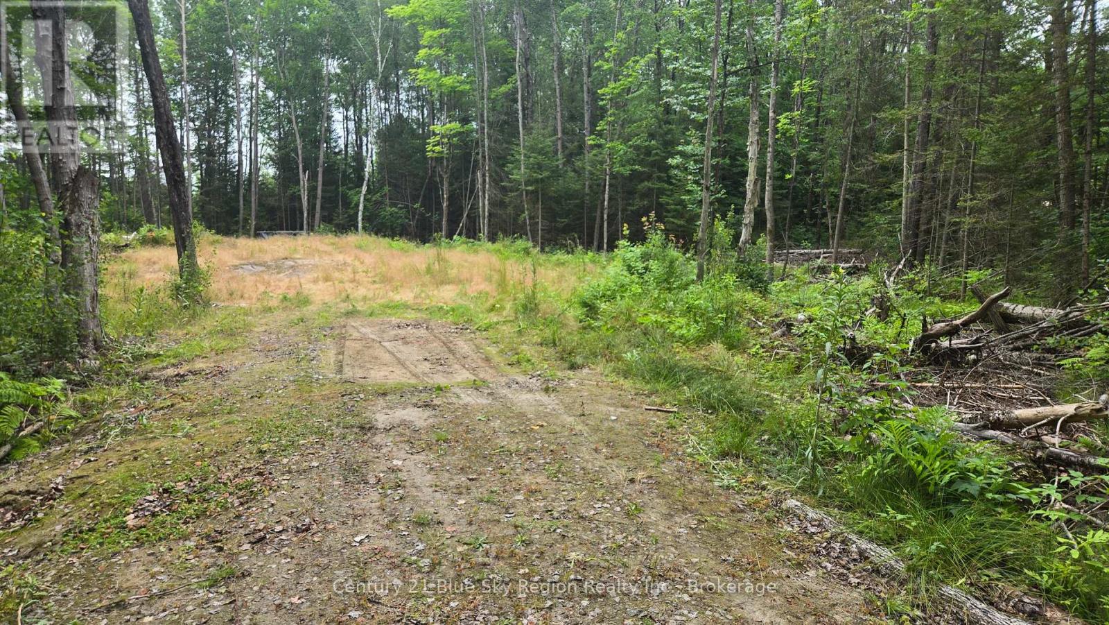 2438 VILLAGE ROAD