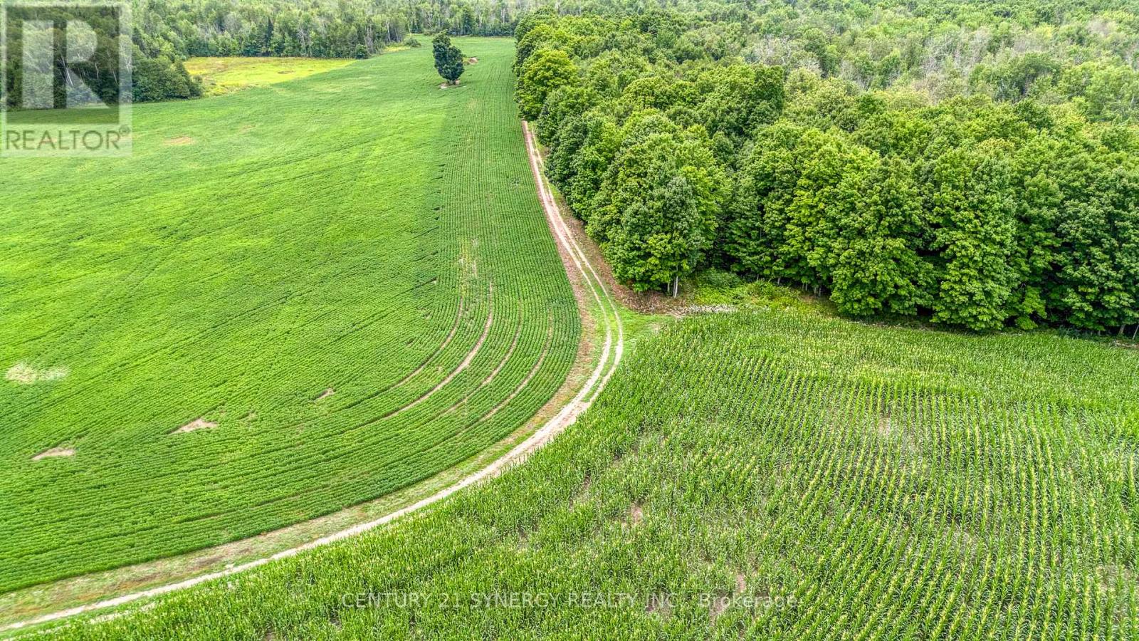 1998 DRUMMOND CONCESSION 2 CONCESSION