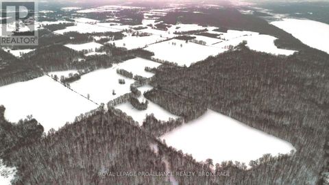 PT LT 33 MOUNT CHESNEY ROAD Kingston (City North of 401) ON K0H1X0