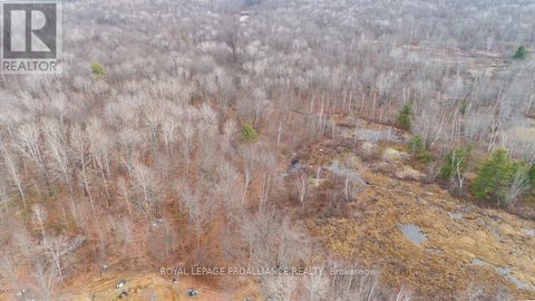 1446 FLINTON ROAD Tweed (Elzevir (Twp)) ON K0H1P0