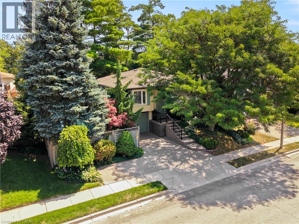 559 HALBERSTADT Circle