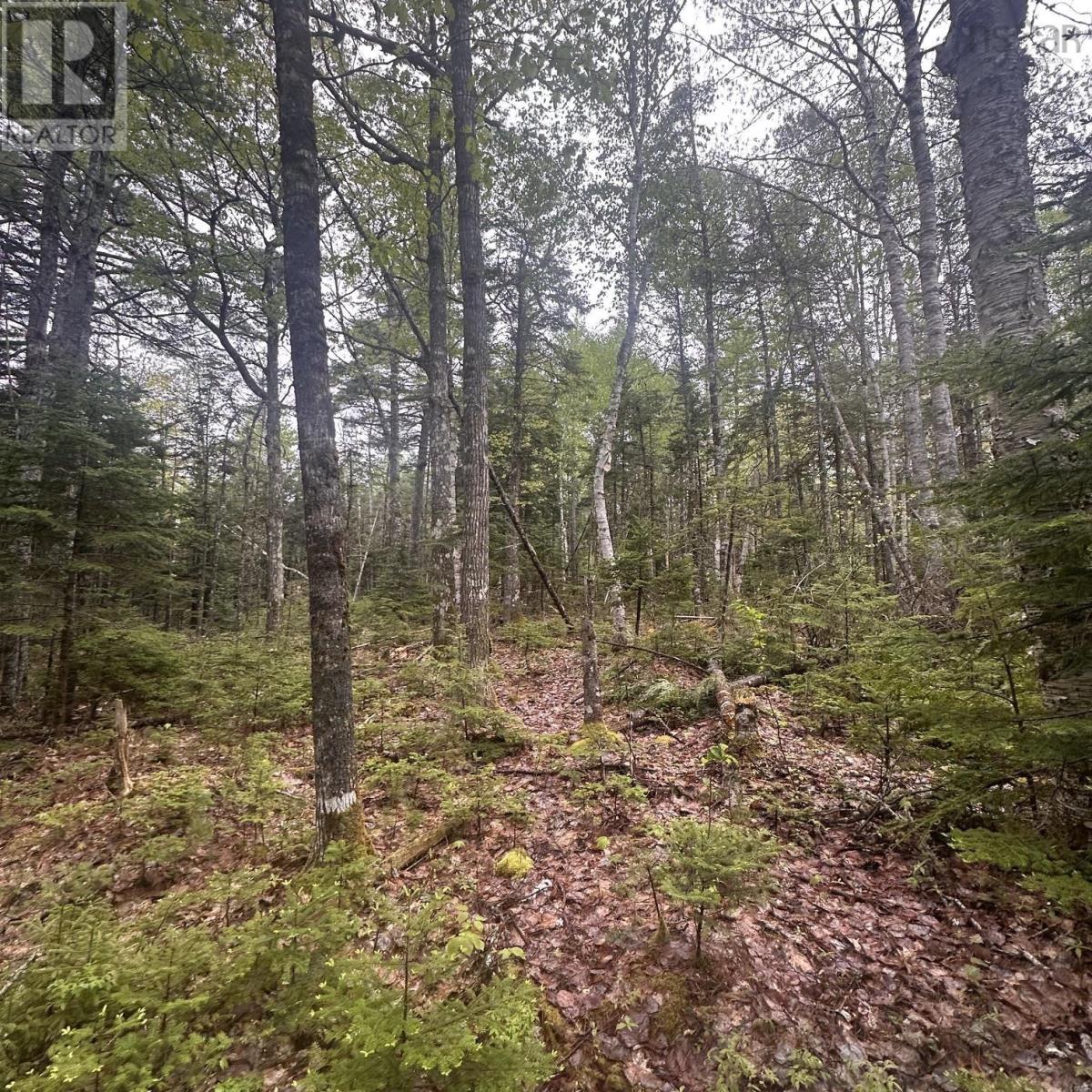 Photo 1 of 10 — Lot 22 Moose Pit Road, Westfield, NS B0T1B0