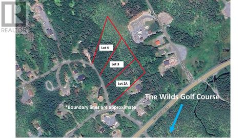 Lot 4 Fraser Sub-Division Forest Field Area /Salmonier Line NF A0A2R0