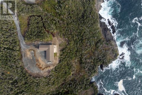 0 BAULINE EAST Road TORS COVE NF A0A4A0