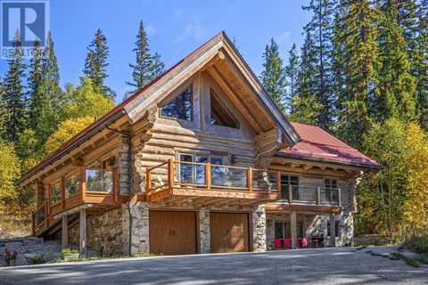 462 OTTOSON Road Golden BC V0A1H0