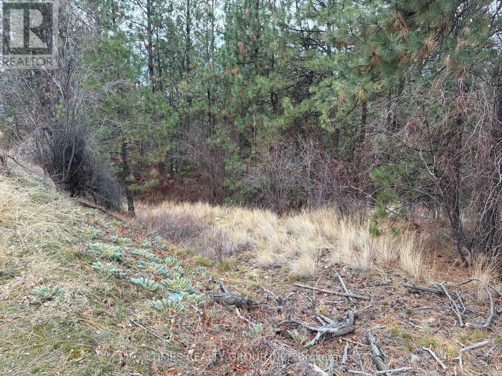 LOT 2 FOREST HILLS DRIVE