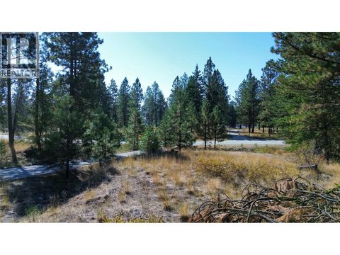 550 PEREGRINE Drive Osoyoos BC V0H1V6