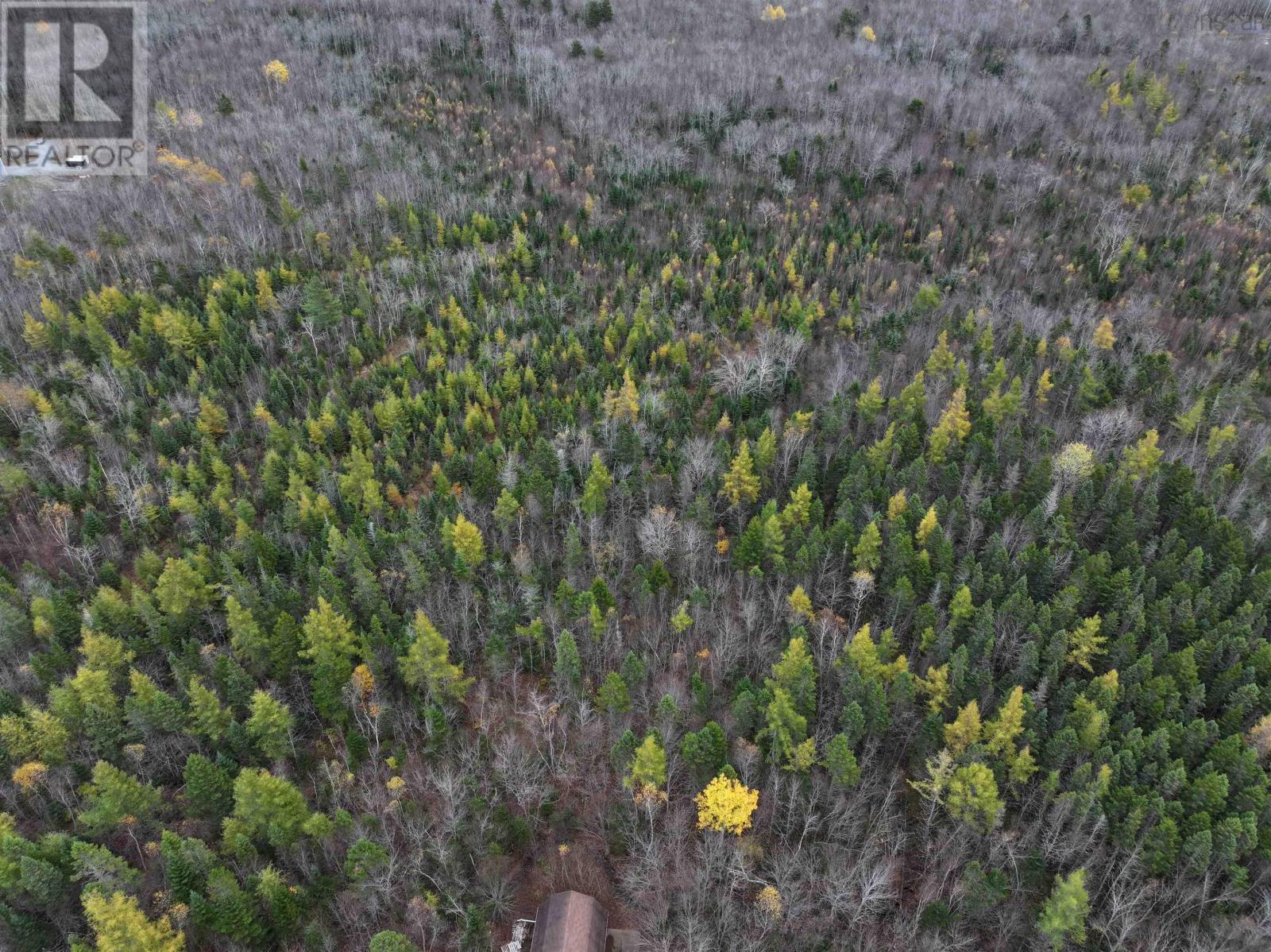 CM-2AY Mckenzie Lane