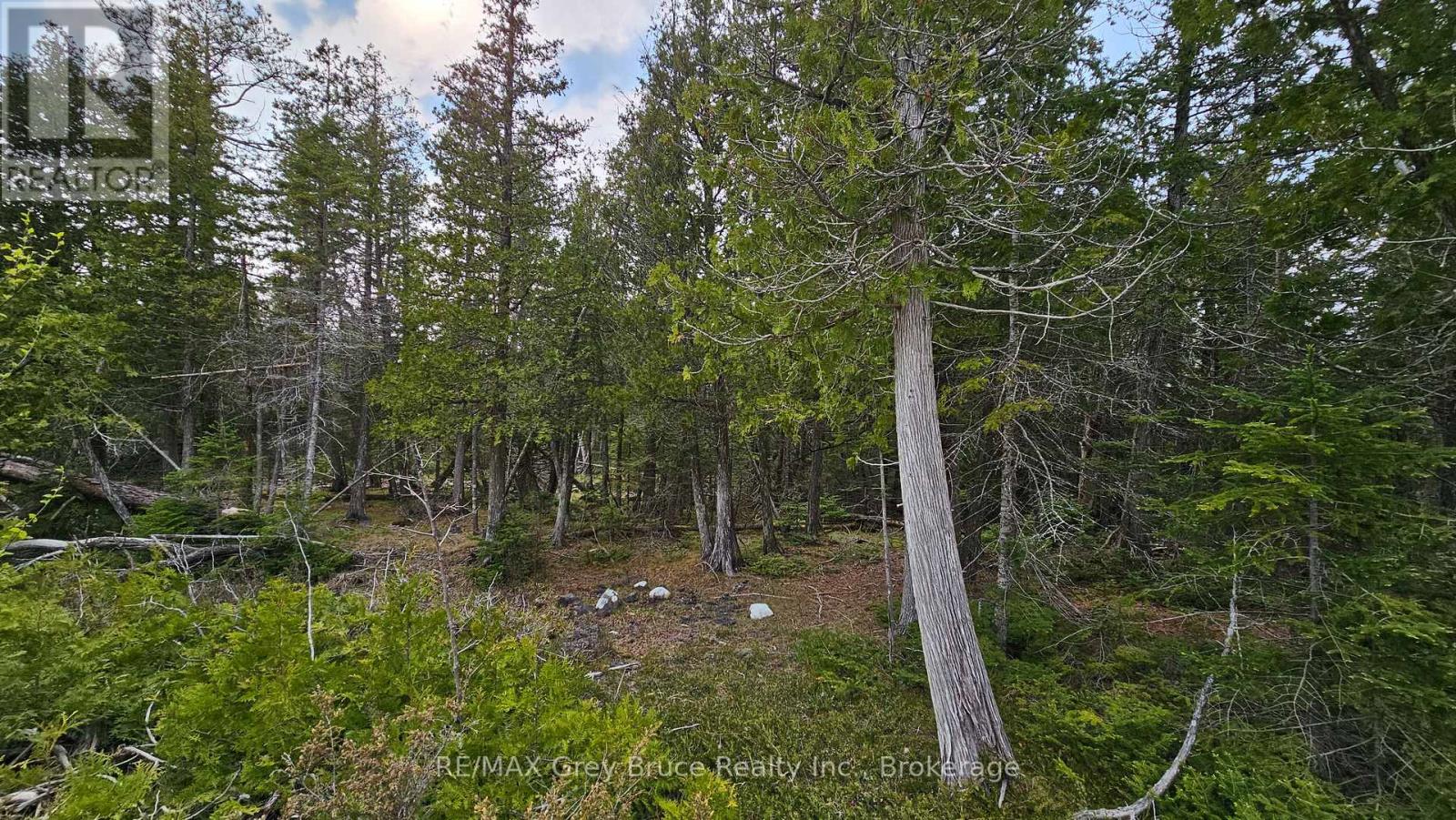LT 254 DORCAS BAY ROAD