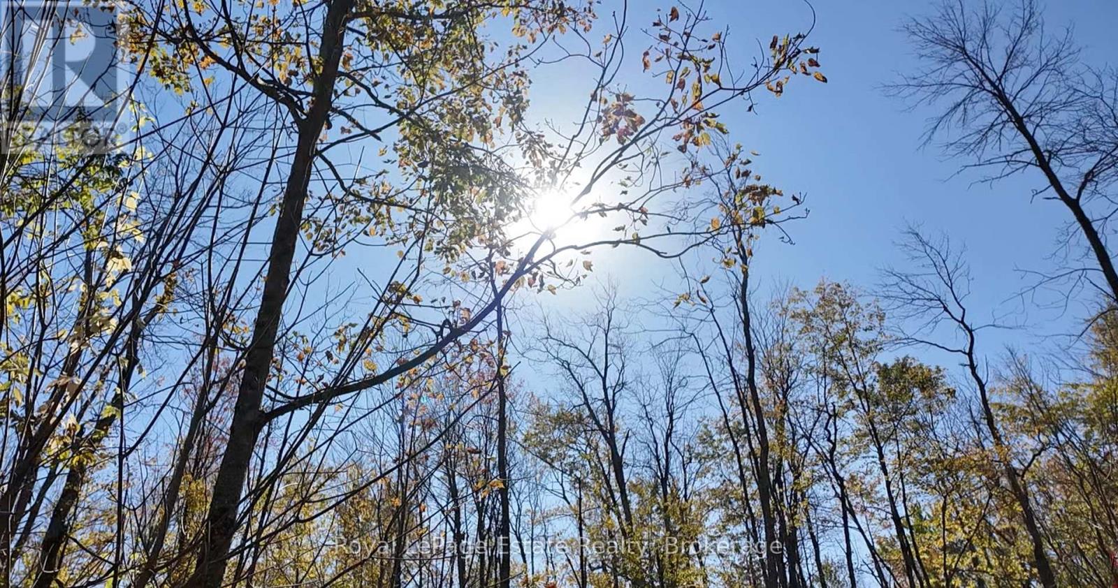 PT LT 36 & PT LT 37 13 CONCESSION