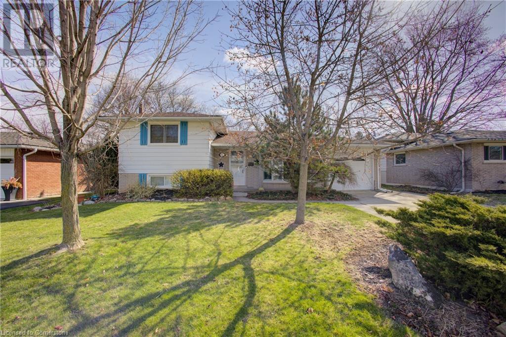 9 ORCHARD Avenue