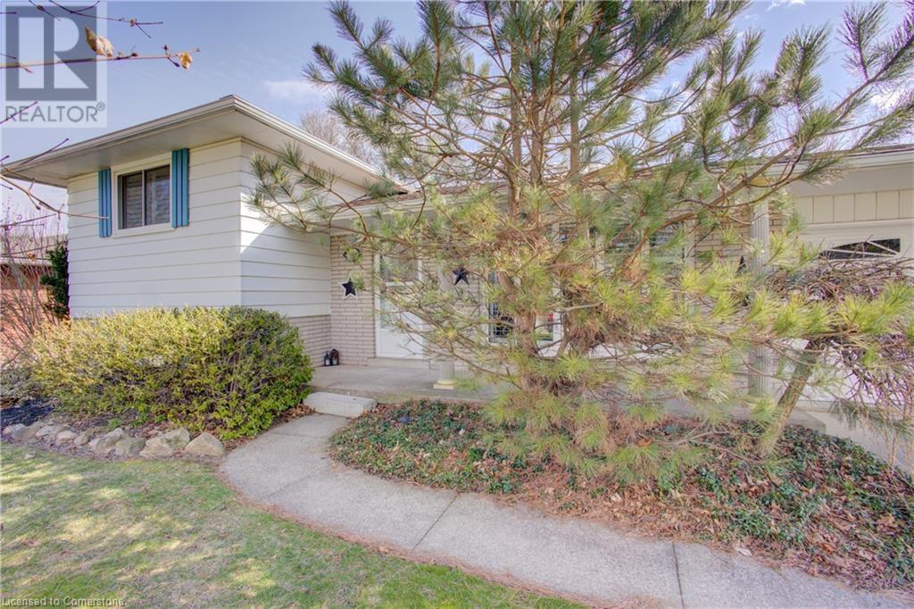 9 ORCHARD Avenue