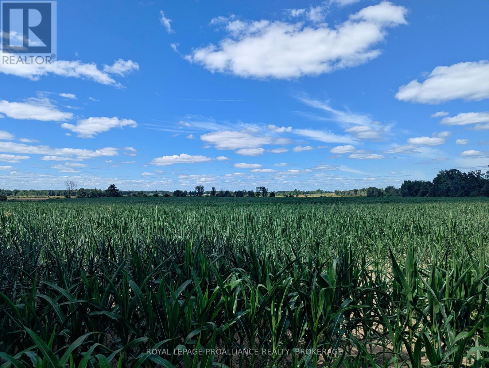2620 4TH CONCESSION ROAD