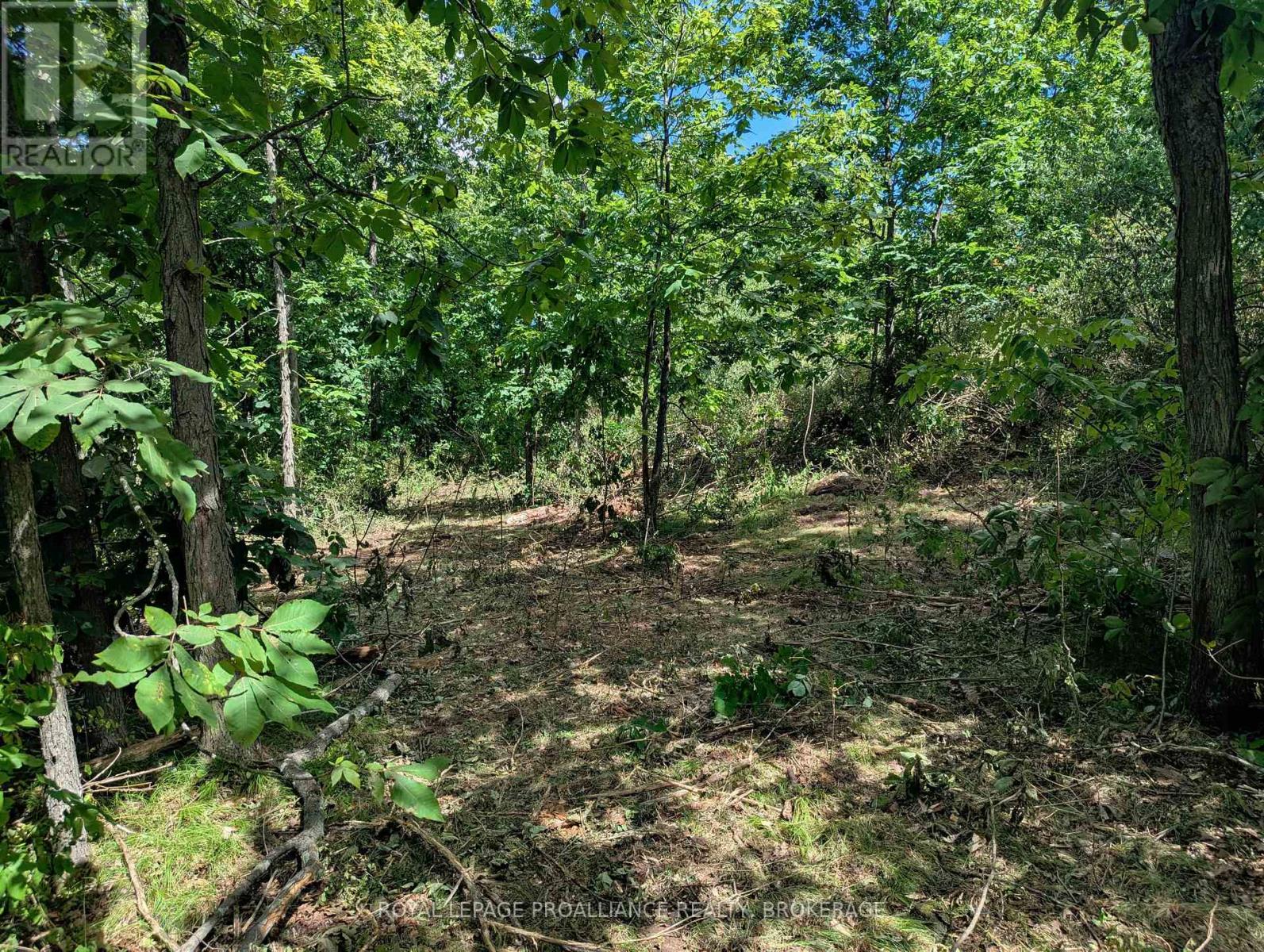 2620 4TH CONCESSION ROAD