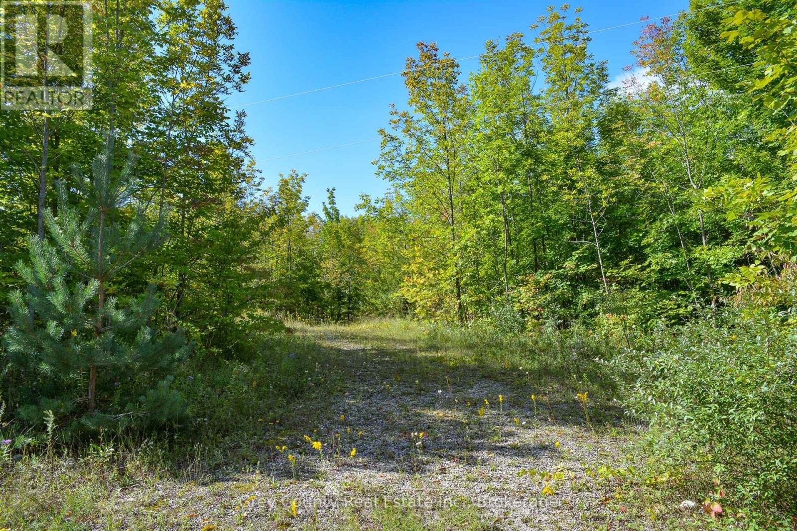 396436 CONCESSION 2
