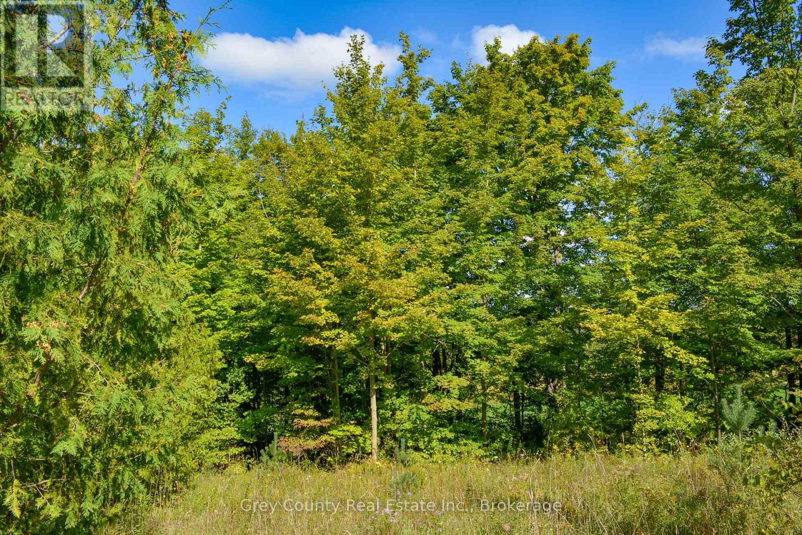 396436 CONCESSION 2