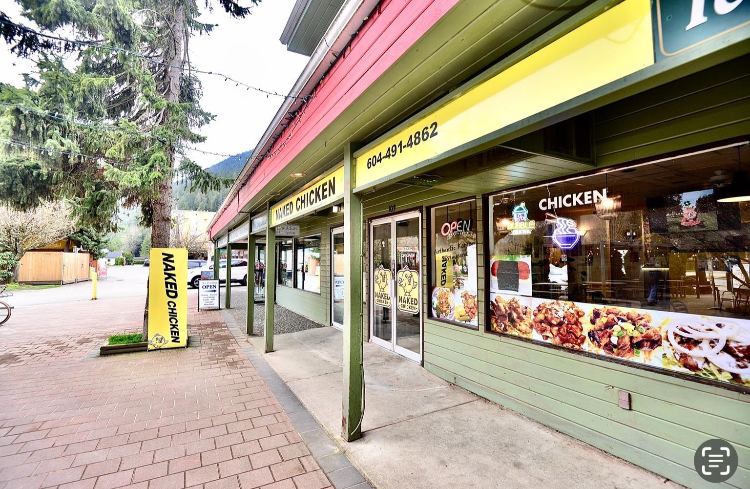 136 CONFIDENTIAL AVENUE|Harrison Hot Springs