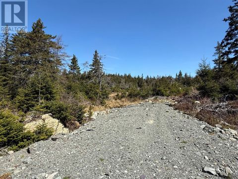 16 Hillview Place Unit#A South River NF A0A3X0