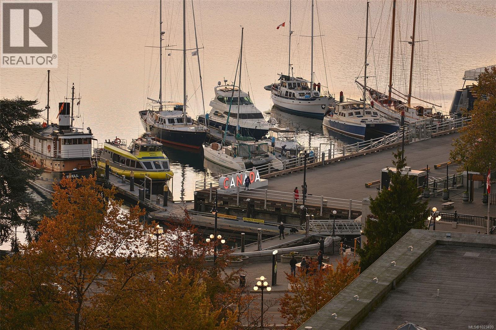 1605 707 Courtney St