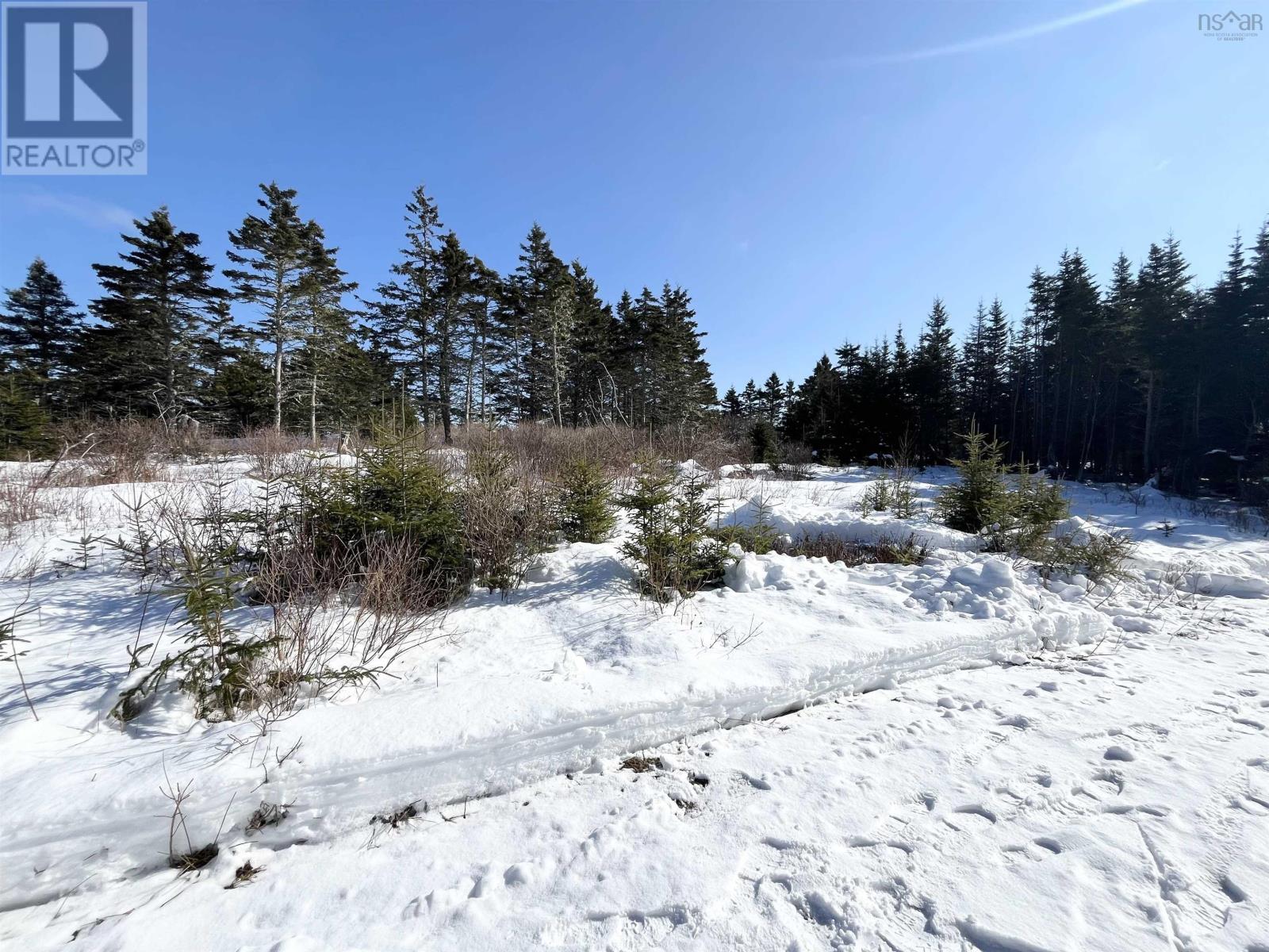 46 Shag Harbour Station Road