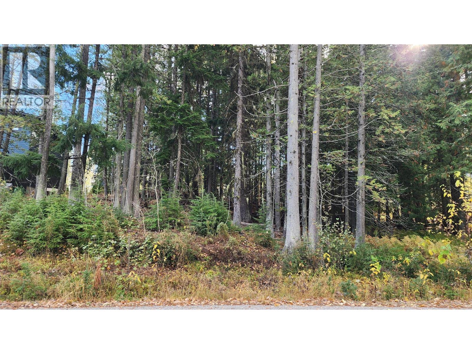 206 CEDAR CREEK Place