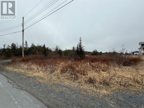 163 Ridge Road Spaniards Bay NF A0A3X0