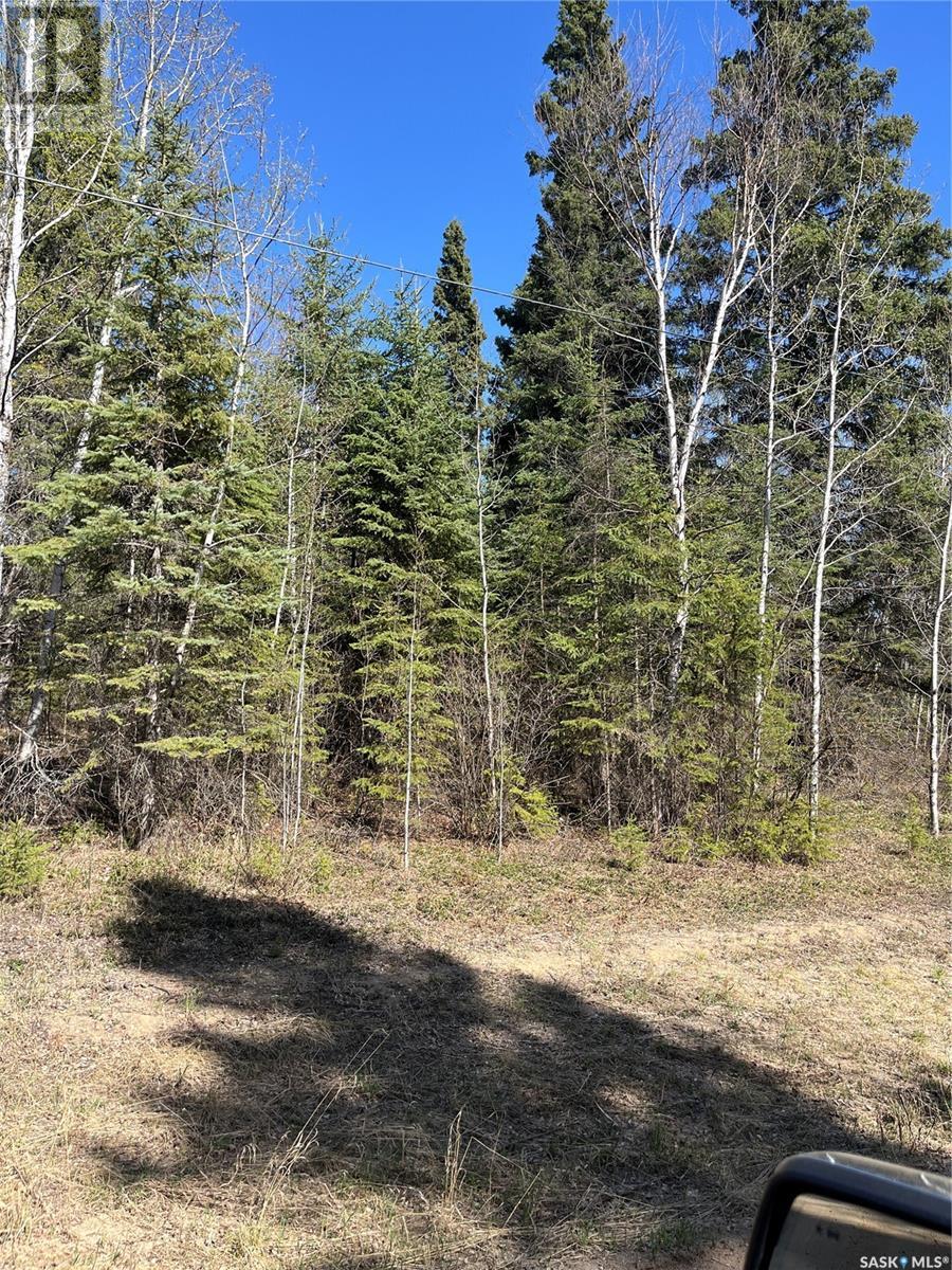6 Buckingham TRAIL