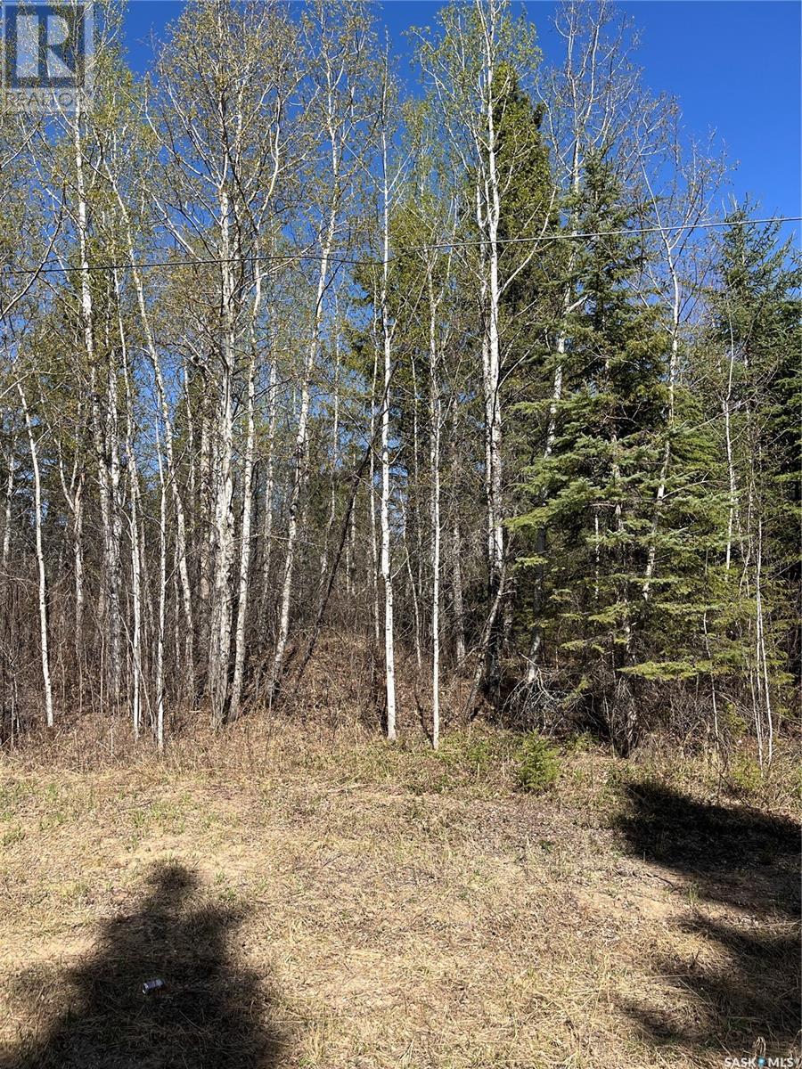 6 Buckingham TRAIL