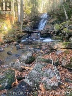 0 Town Plot Road - Photo 2