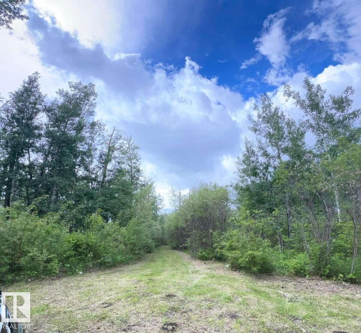 #319 23229 Hwy 651