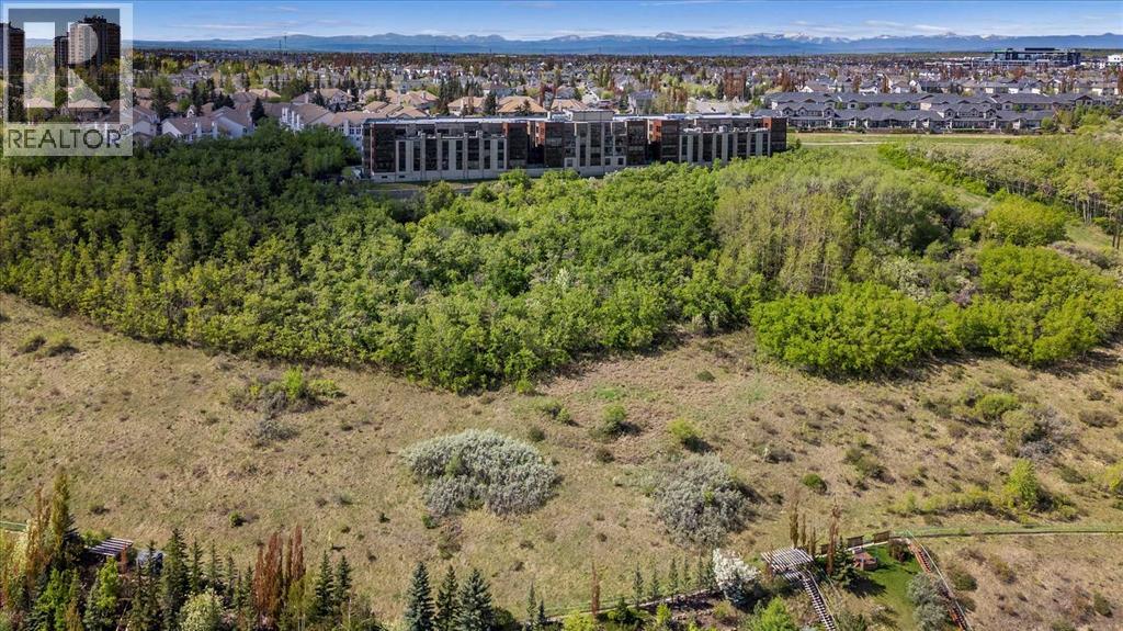 313, 15 Cougar Ridge Landing SW