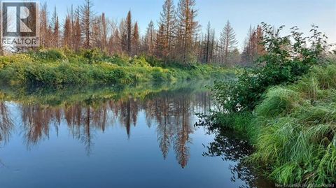 00 South Barnaby Road Barnaby River NB E1N6G2