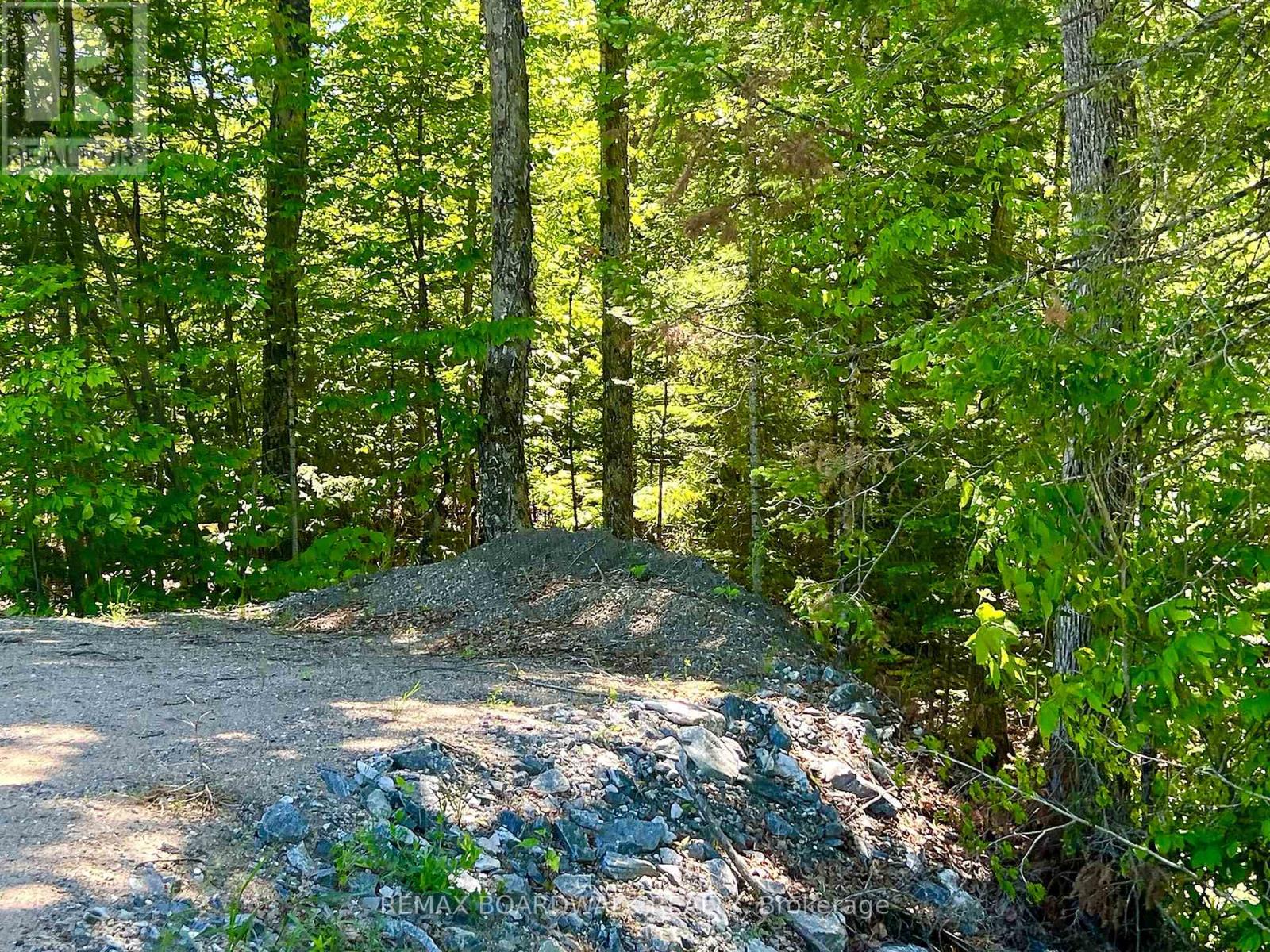 00 BUCKSHOT LAKE ROAD
