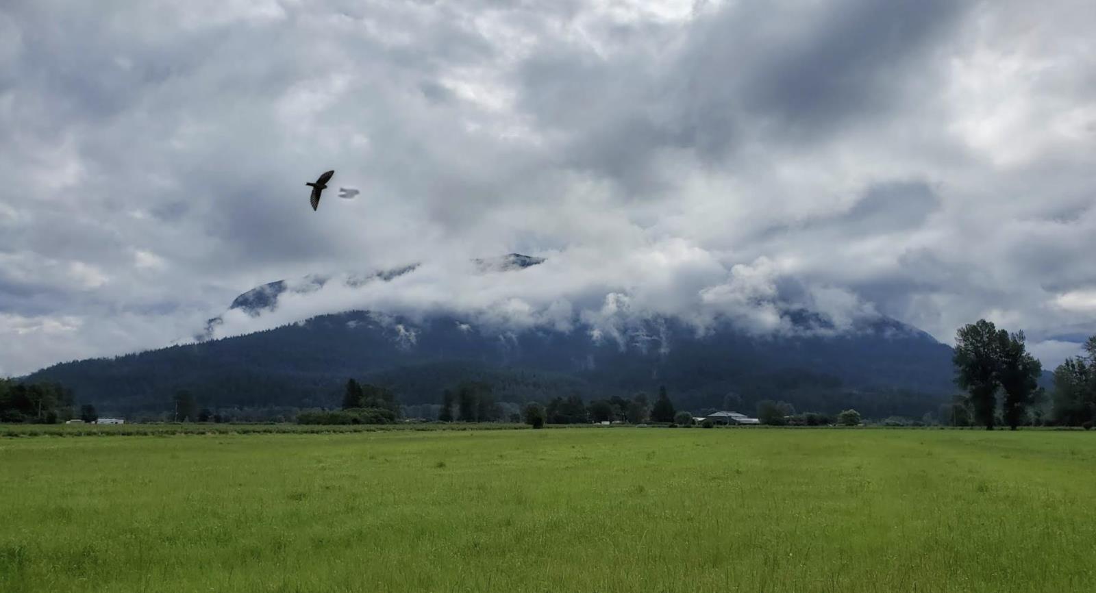 349 KENNEDY ROAD|Harrison Mills