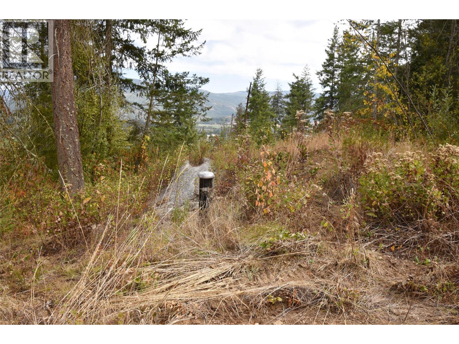 246 Crooked Pine Road