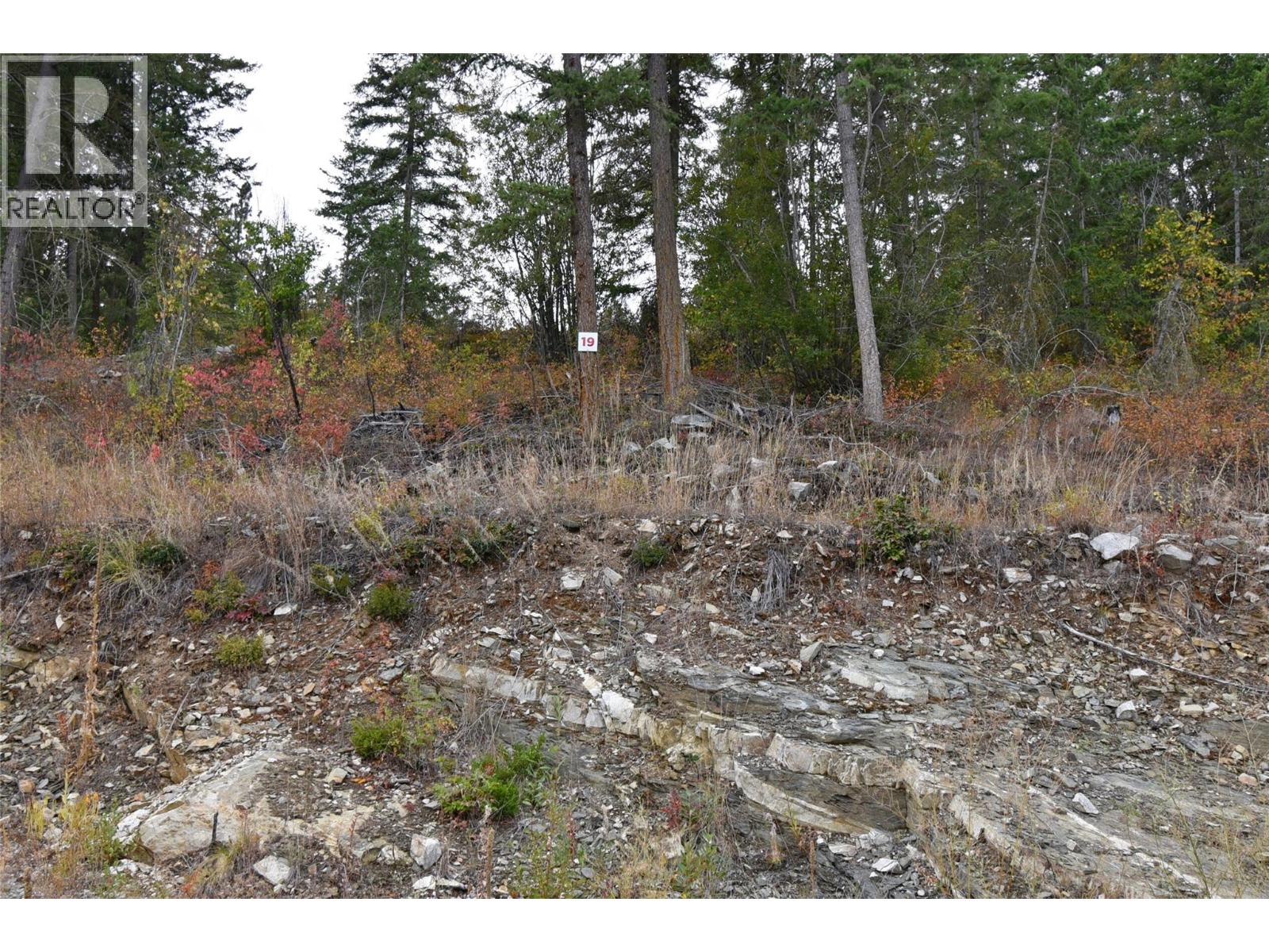 246 Crooked Pine Road