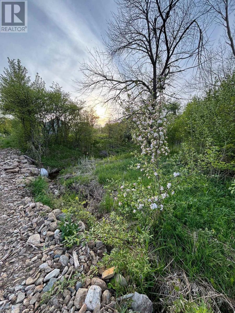 58111 12TH LINE (13 ACRE SEVERED PARCEL) ROAD