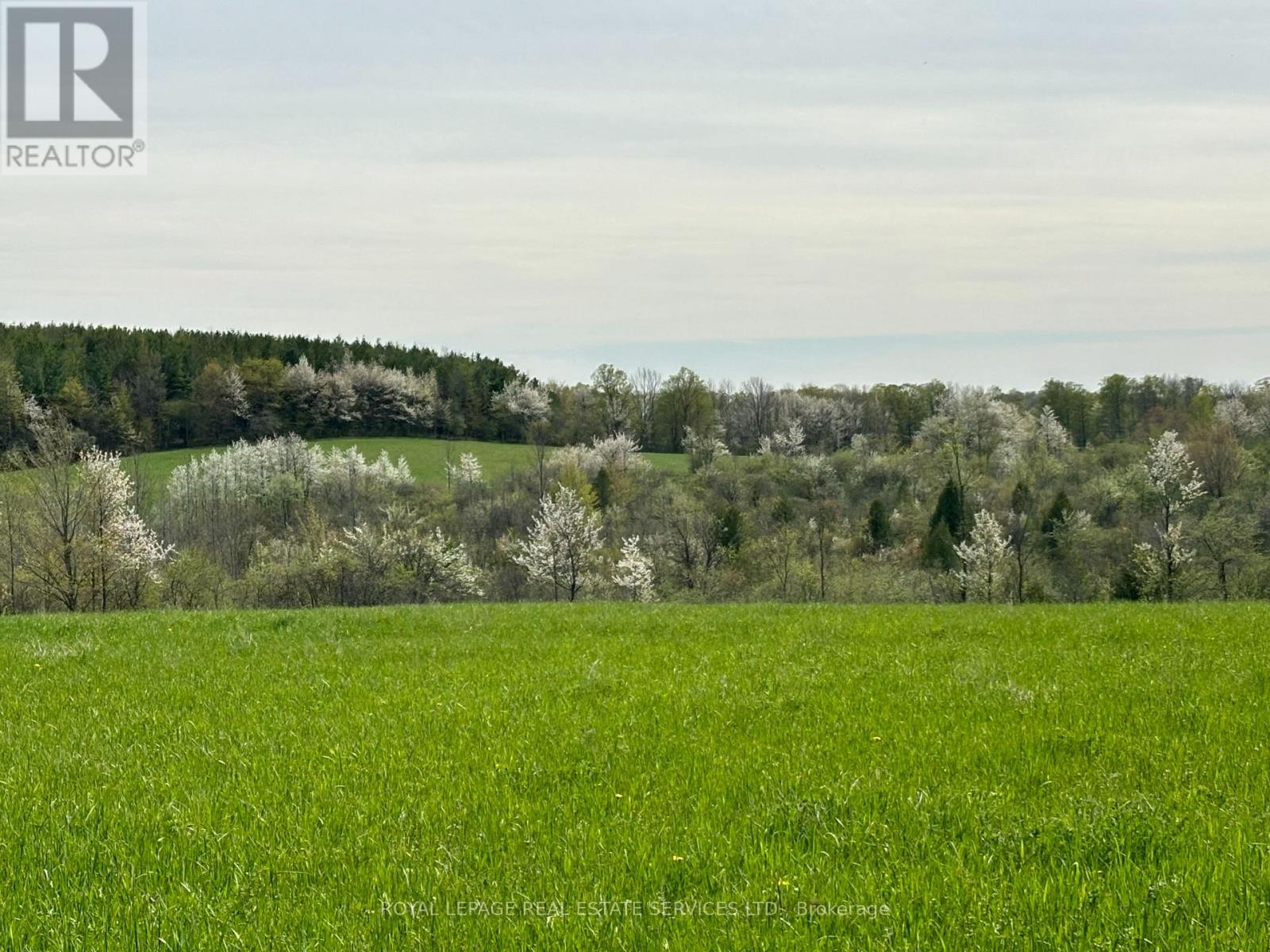 58111 12TH LINE (13 ACRE SEVERED PARCEL) ROAD