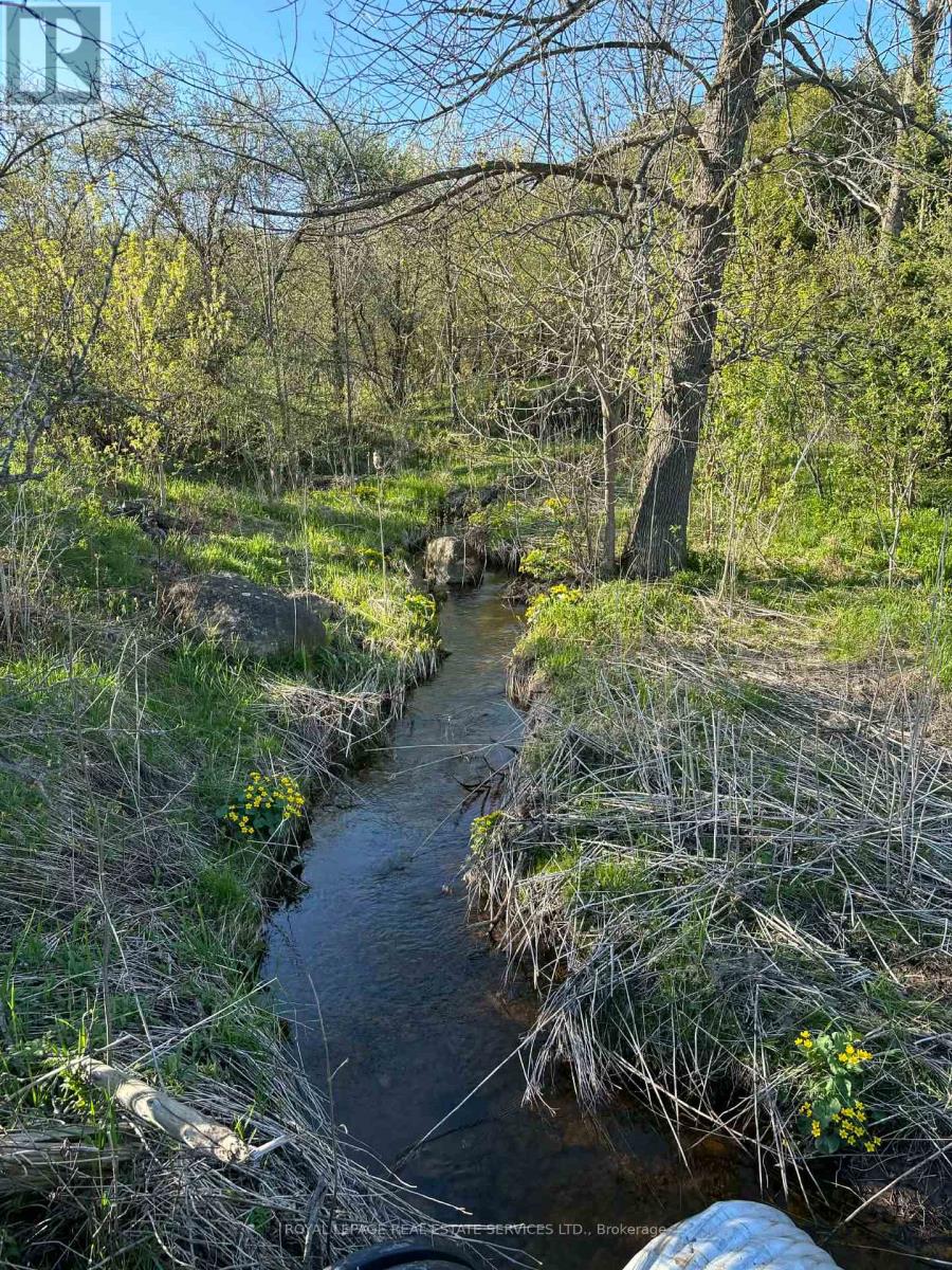 58111 12TH LINE (13 ACRE SEVERED PARCEL) ROAD