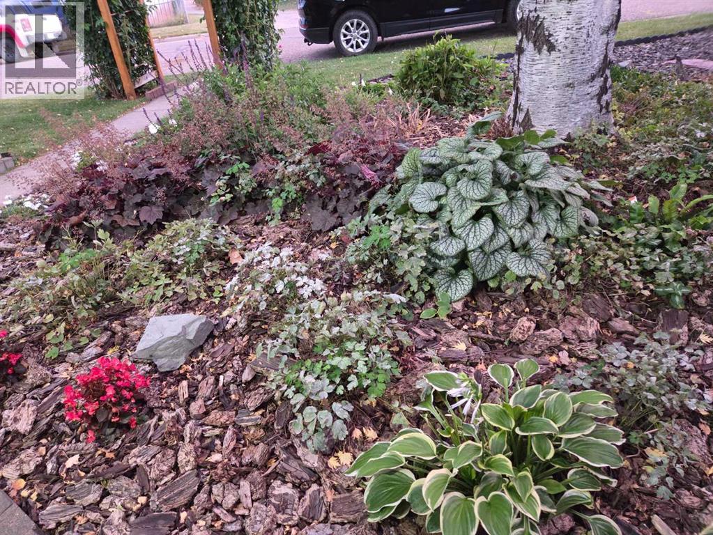 382 Ellis Crescent SE