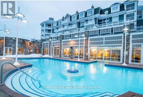 1225 - 1050 PAIGNTON HOUSE ROAD Muskoka Lakes (Medora) ON P0B1G0