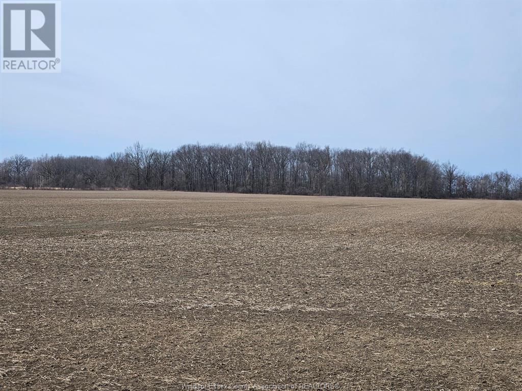 V/L CONCESSION 10